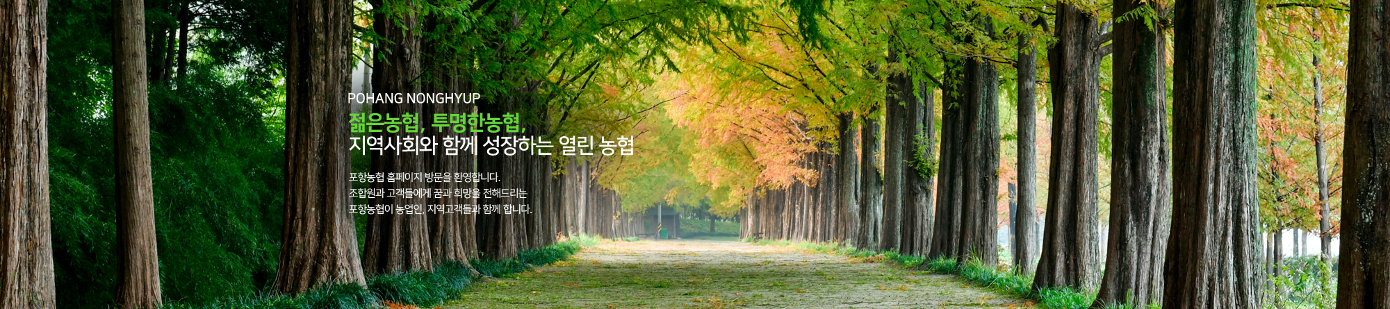 비쥬얼_메인