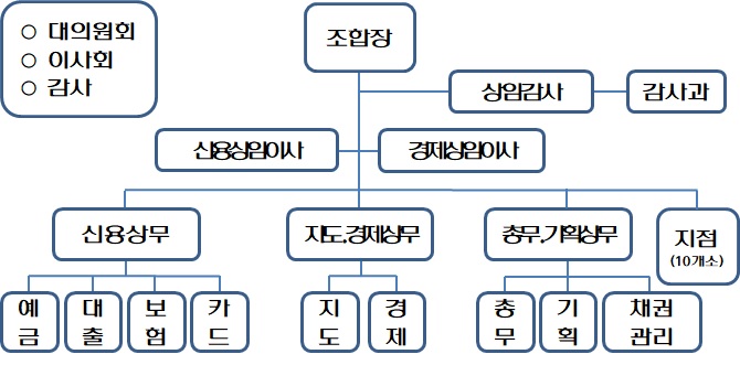 조직도